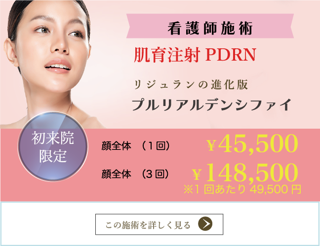 プルリアルデンシファイ