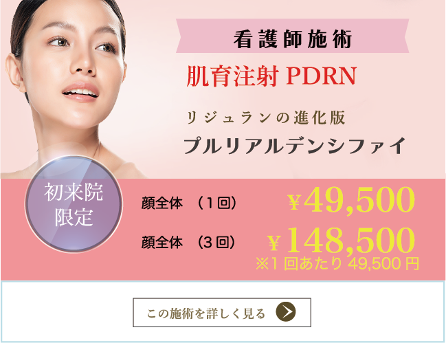 プルリアルデンシファイ