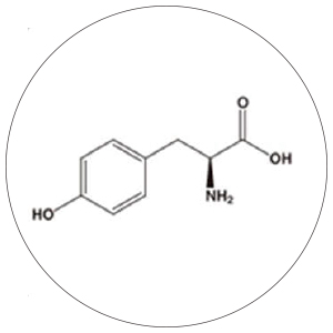 チロシン (アミノ酸)